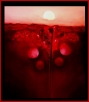 Chasm